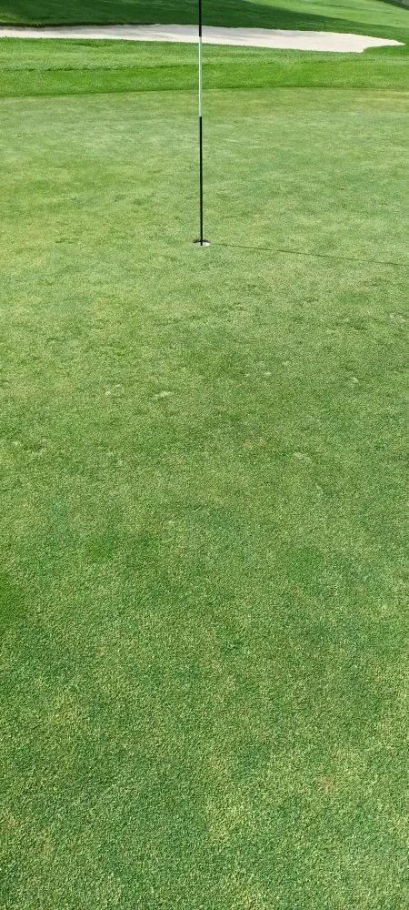 20230522_153044.jpg