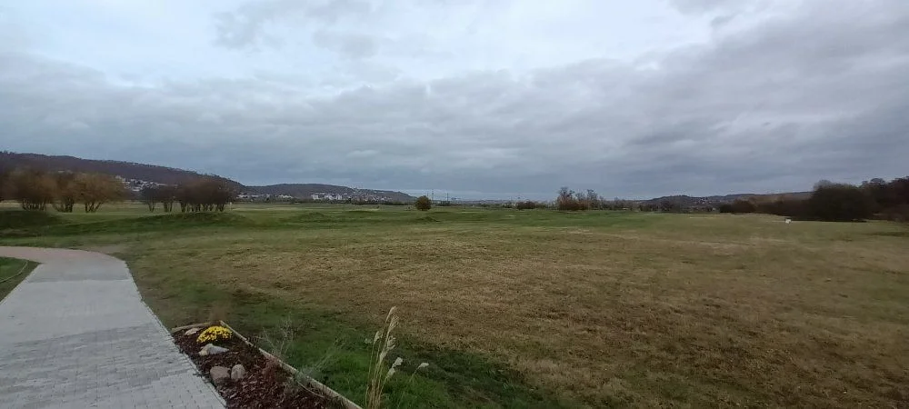 20231114_104255.jpg