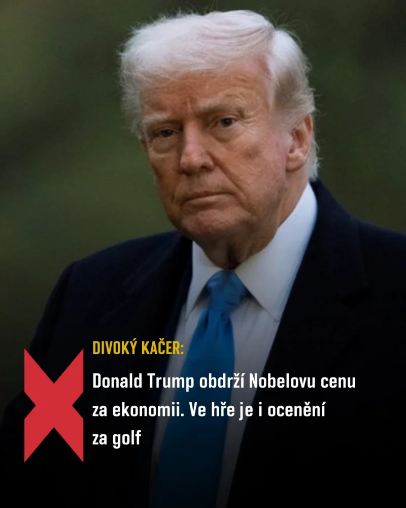 489568948_981800690754340_3819214431474469920_n.webp