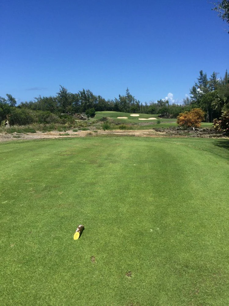 7CAC8B05-3816-4F03-A28F-D259F380DB9A.webp