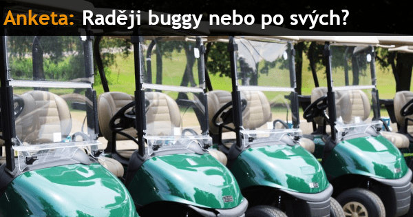 buggy.png