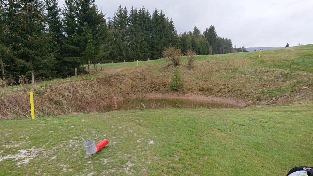 DSC_1995.JPG