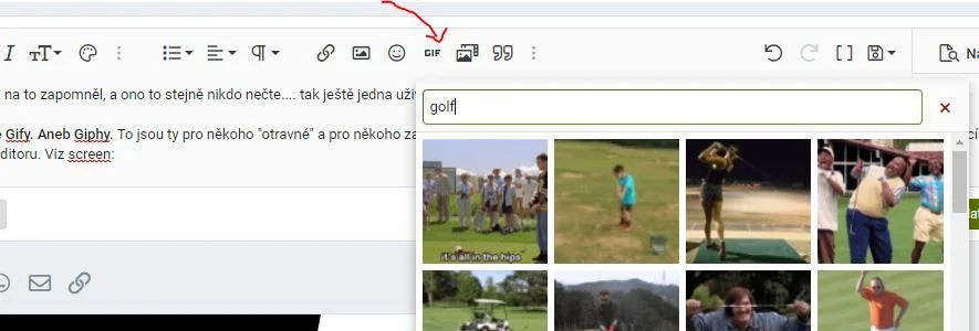giphy.JPG