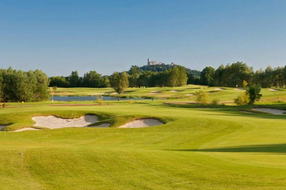 Golf91.webp