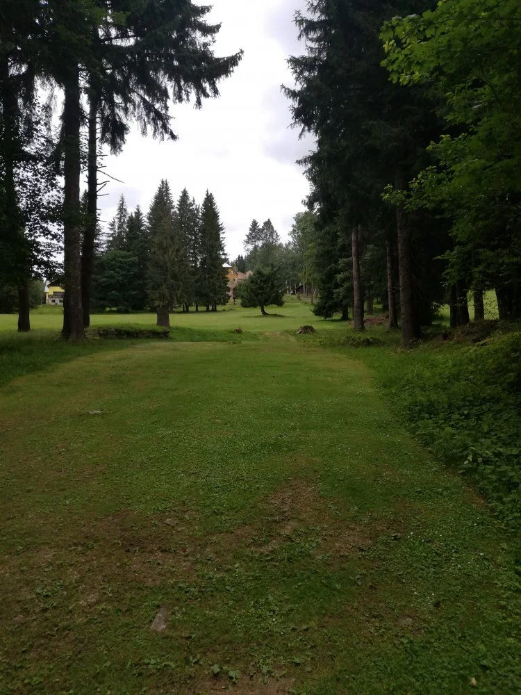 IMG_20210722_143727.jpg