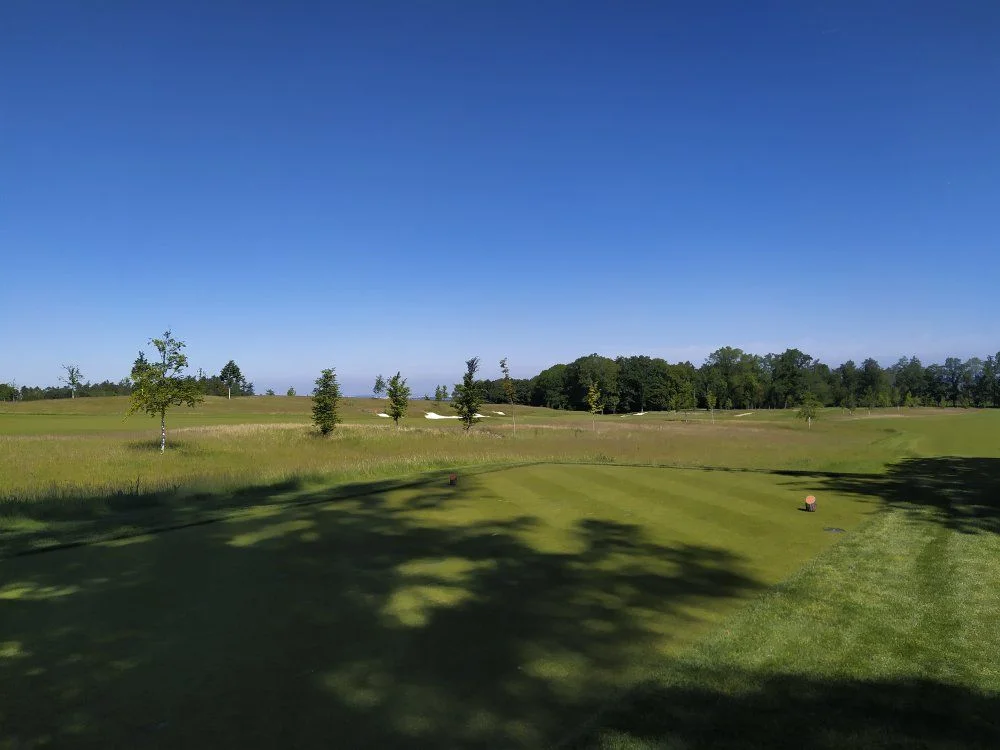 IMG_20220531_101125[1].jpg