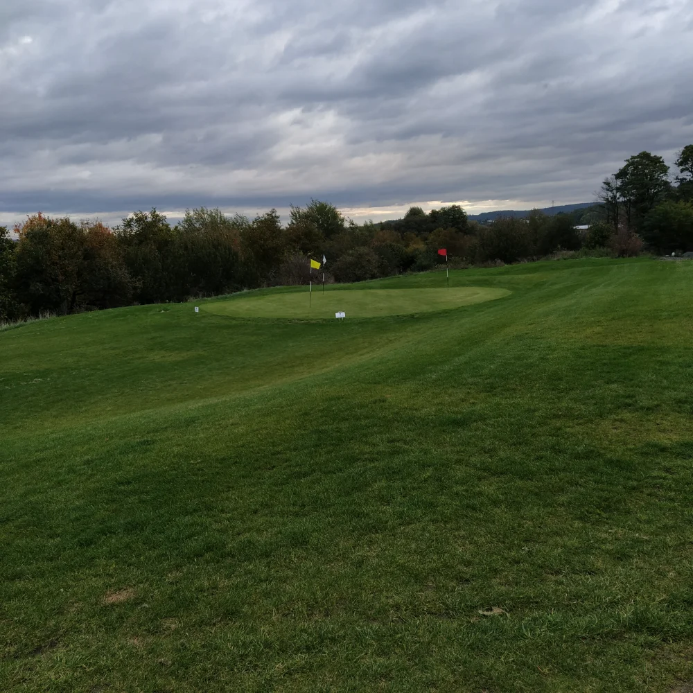 IMG_20241013_075506.webp
