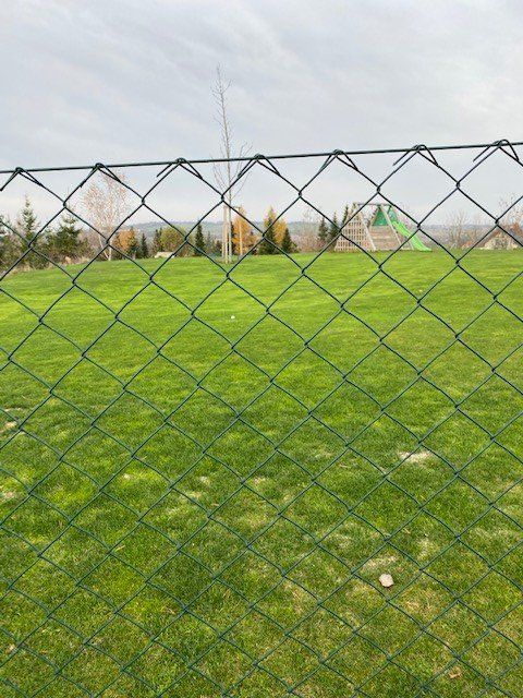 míč za plotem.jpg