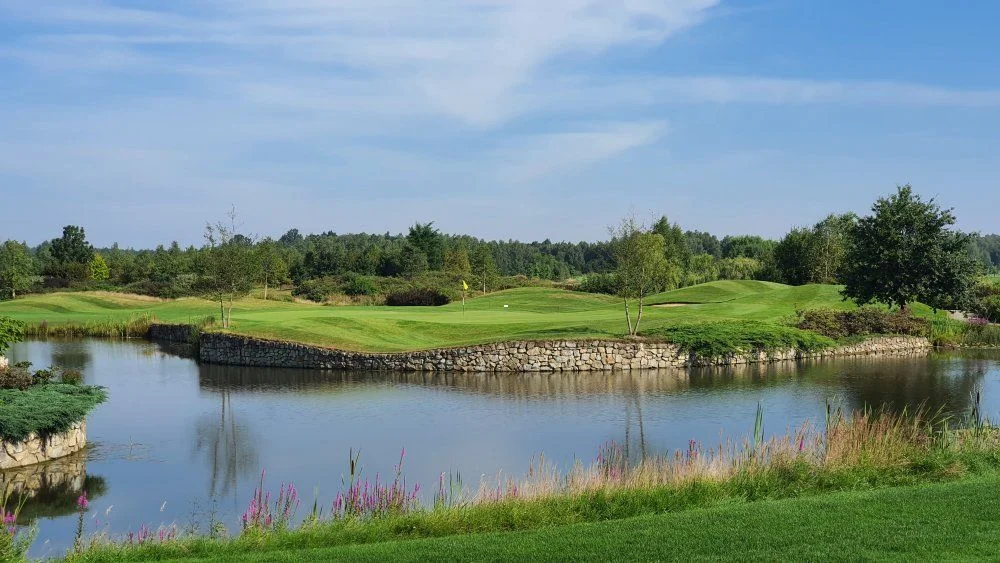 rosa golf.webp