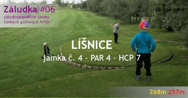 zaludka 6 - lisnice.png