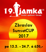 19sunsetcup.png