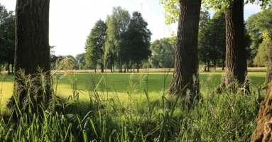Poděbrady 4.webp