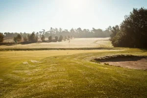 Deníček golfového manažera 37. - Lék na rakovinu