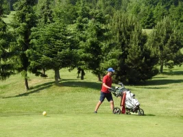 DSCN8008.webp