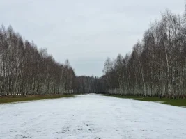 20250223_111849.webp