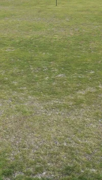IMG-20190507-WA0008.webp
