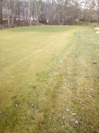 IMG_20191218_125307[1].webp
